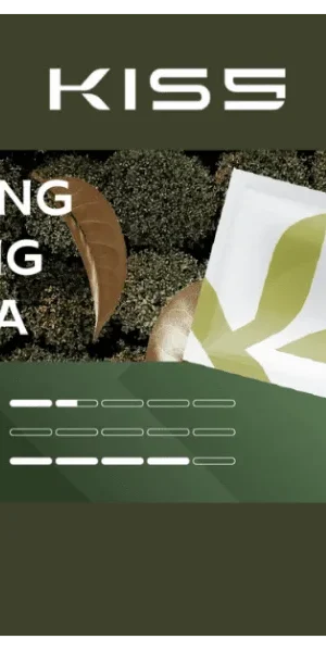 Kis5-Fly煙彈龍井春茶口味